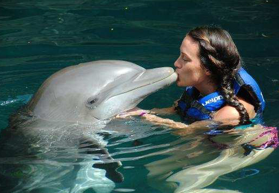 Delphinus Dolphin Ride